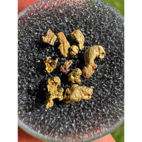 Gold Nuggets from California - 0.50 grams - Picture 3 of 4